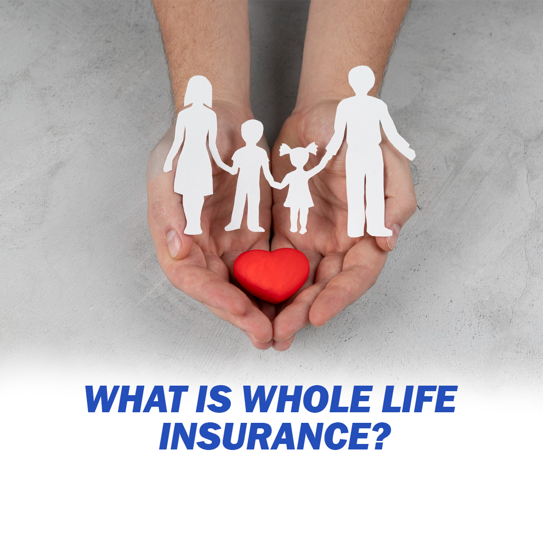 What is Whole Life Insurance - insura.ae