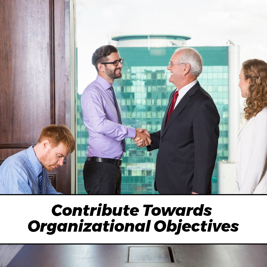 Contribute Towards Organizational Objectives - insura.ae