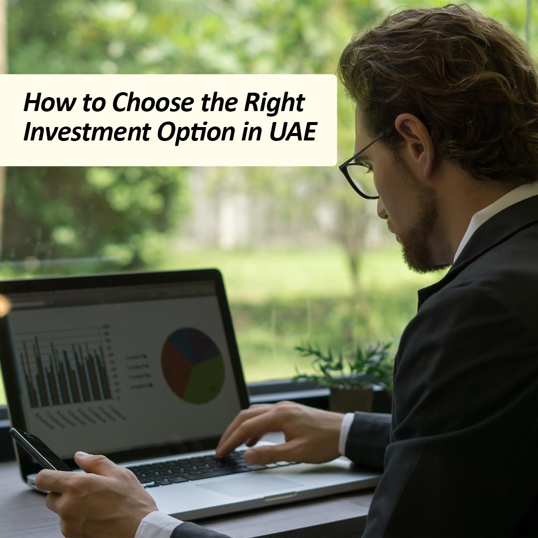 How to Choose the Right Investment Option in UAE - insura.ae