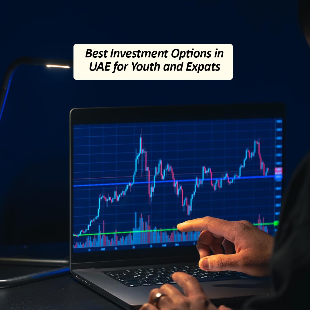 Best Investment Options in UAE for Youth and Expats - insura.ae