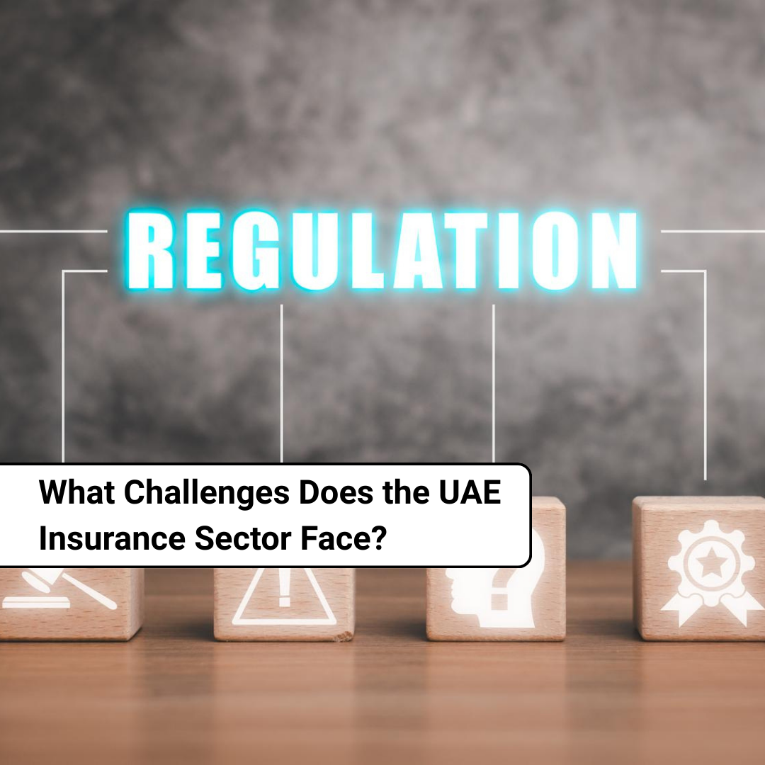 What Challenges Does the UAE Insurance Sector Face