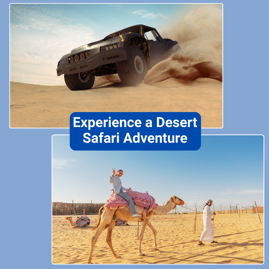 Experience a Desert Safari Adventure